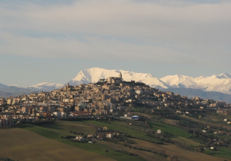 vedi foto