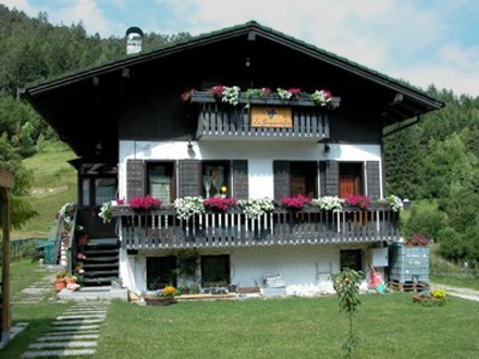 vedi foto