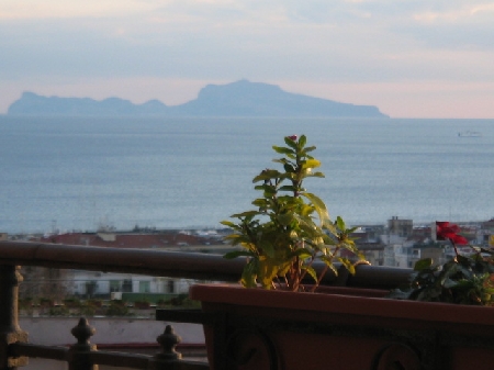 vedi foto