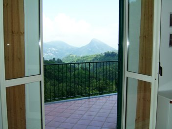 vedi foto